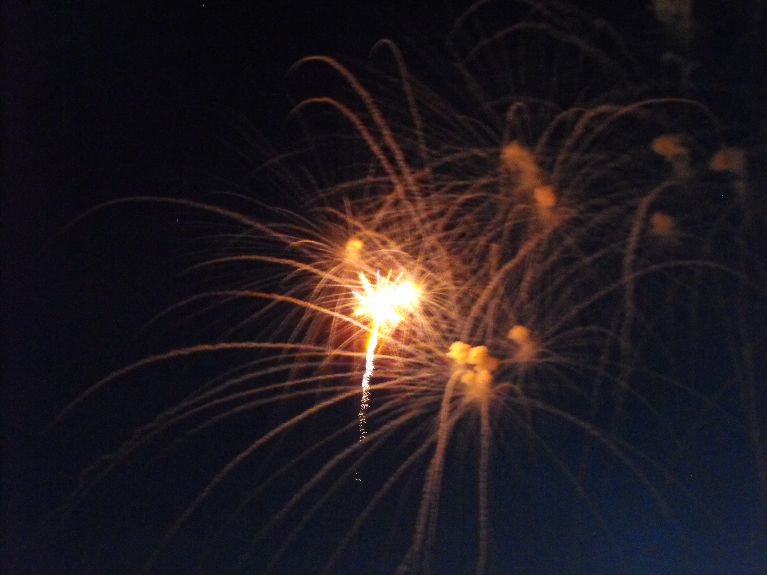 ./2010/Fourth of July/4th July Fireworks Wilm 0016.JPG